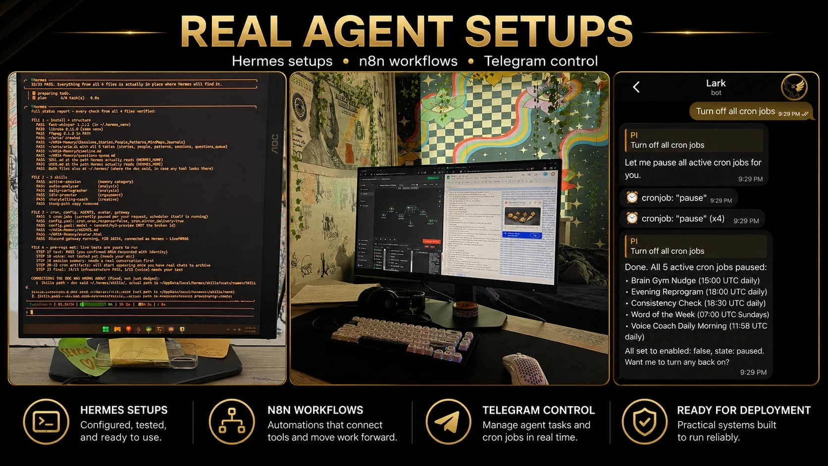 Hermes system project preview